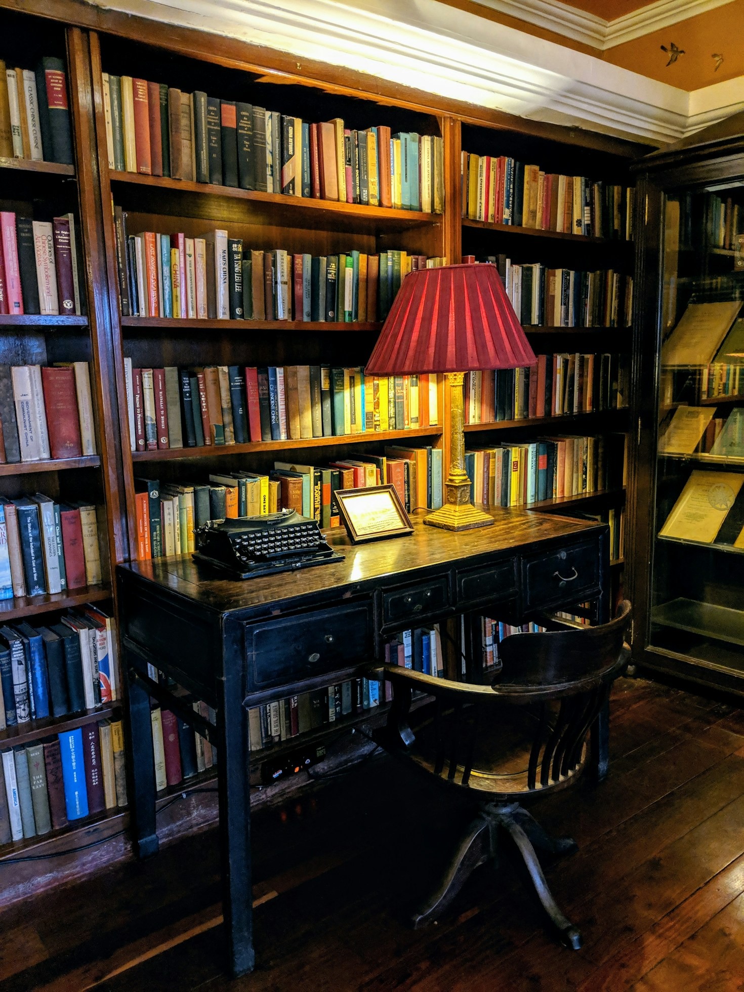 A Beginner’s Guide to Cultivating Daily Curiosity